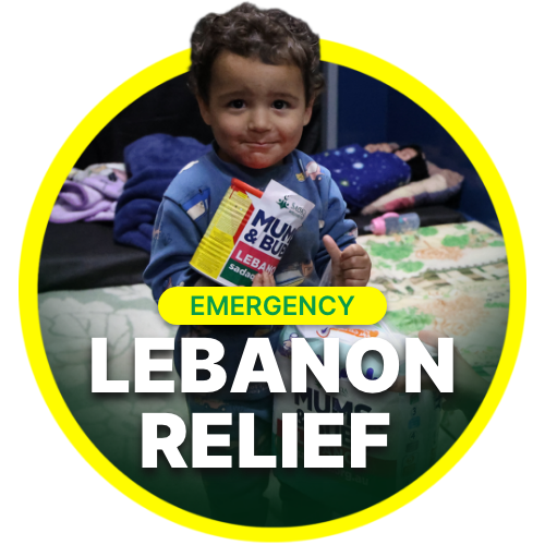 Lebanon Appeal