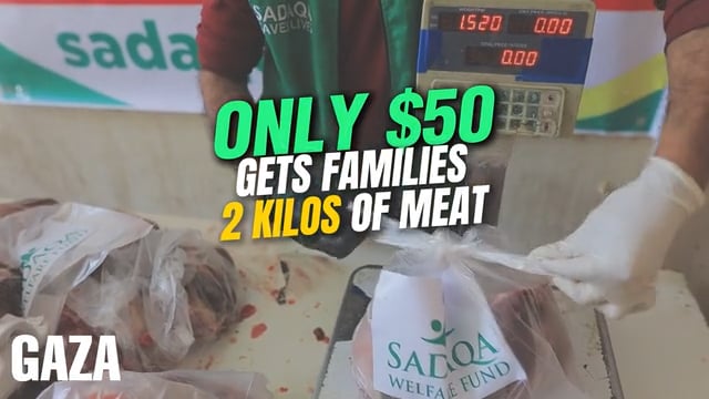 10 TONNES OF MEAT FOR GAZA